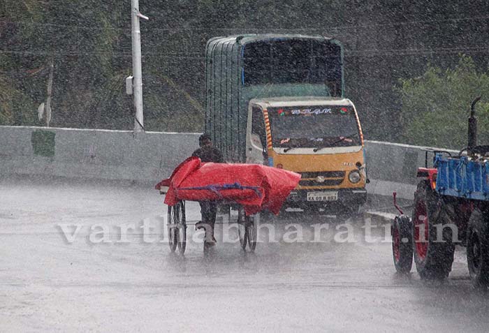 ಬೆಂಗಳೂರು: ನಗರದ ವಿವಿಧೆಡೆ ಗಾಳಿ-ಮಳೆಯ ಅಬ್ಬರ; ನೆಲಕ್ಕುರುಳಿದ ಮರಗಳು